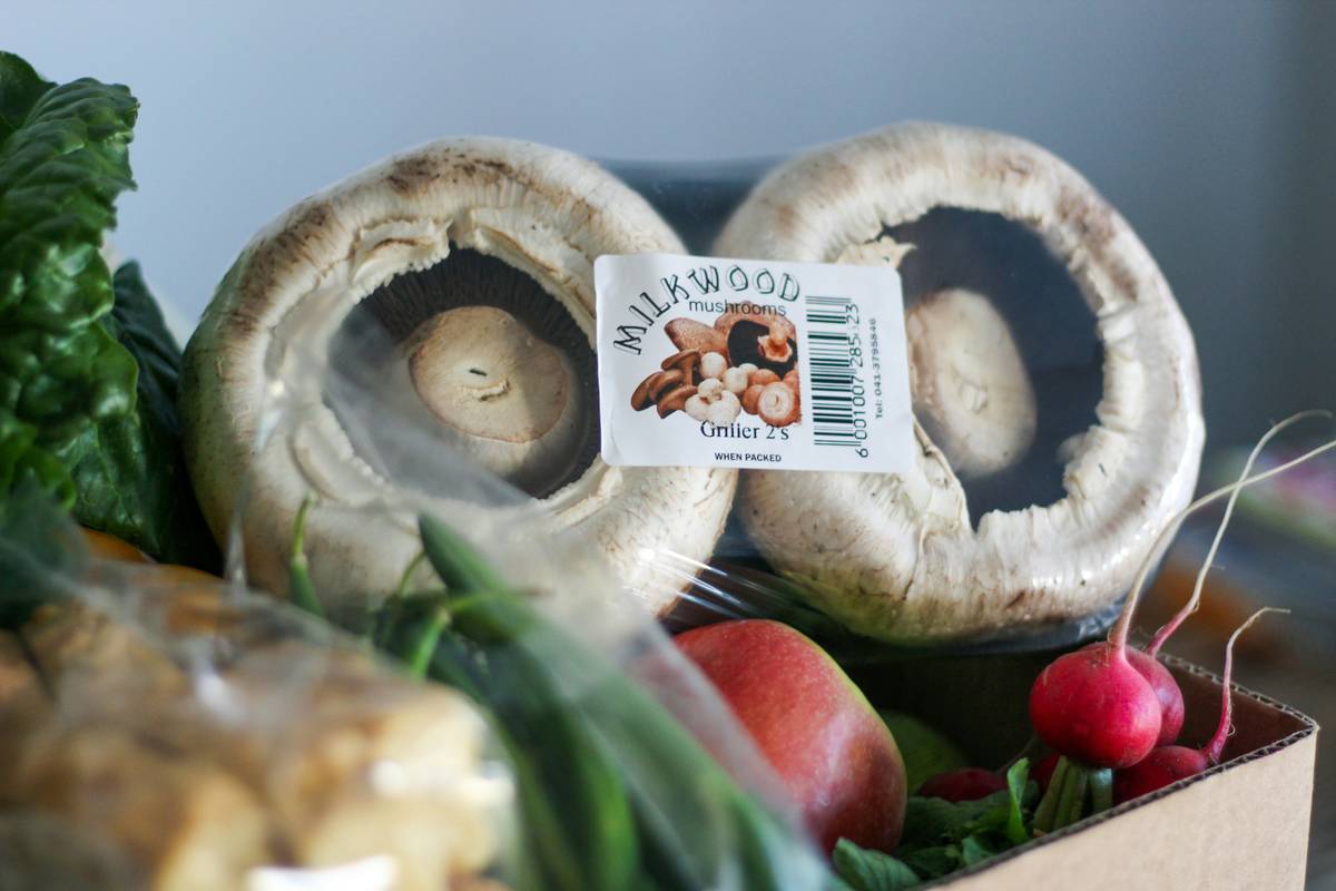 Fresh ingredients arranged for a meal delivery service